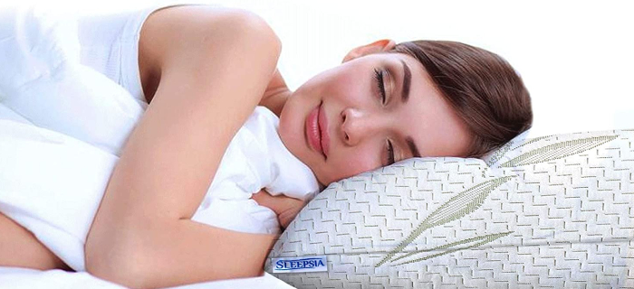 Bamboo Pillow Queen Size