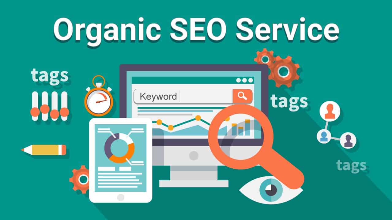 Check-These-Points-Before-You-Go-For-Organic-SEO-Services